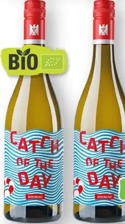 Scheck-in-Center Bioweingut Kaufmann Bio Catch of the day Angebot