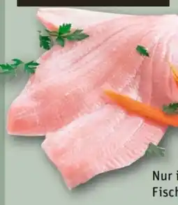 REWE Center Schollenfilet Angebot