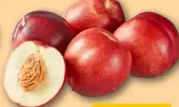 REWE Center Nektarinen Angebot