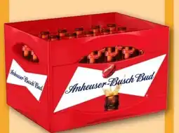 REWE Center Anheuser Busch Bud Beer Angebot