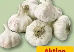 REWE Center Knoblauch Angebot
