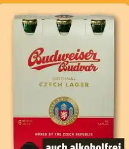 REWE Center Budweiser Budvar (CZ) Premium Lager Angebot