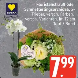 Edeka EDEKA Herzstücke Floristenstrauß oder Schmetterlingsorchidee Angebot