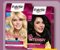 REWE Center Poly Palette Intensiv Creme Coloration Angebot