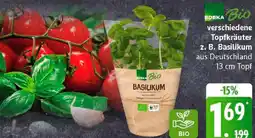 Edeka EDEKA Bio Topfkräuter z. B. Basilikum Angebot