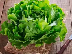 nahkauf Rewe Regional Kopfsalat Angebot
