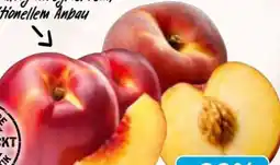 AEZ Nektarinen Angebot