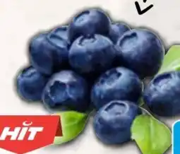 AEZ Hit Heidelbeeren Angebot