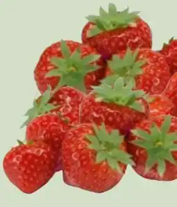 Edeka Xpress Bio-Erdbeeren Angebot