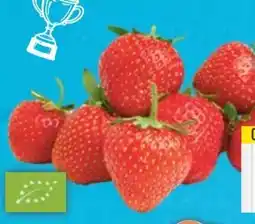 E-Center Bio-Erdbeeren Angebot