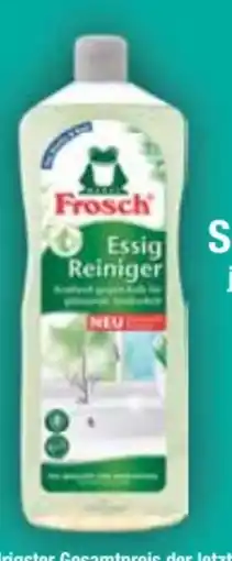 E-Center Frosch Reiniger Angebot