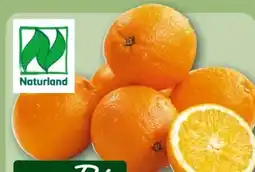 REWE Center Rewe Bio Orangen Angebot