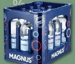REWE Center Magnus Mineralwasser Angebot