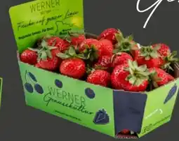 REWE Center Werner Genusskultur Erdbeeren Angebot