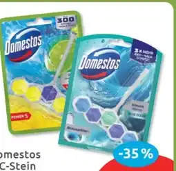 Budni Domestos WC Steine Power 5 Angebot