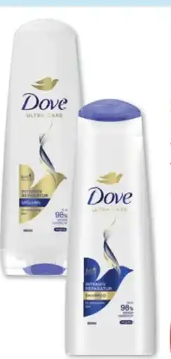 Budni Dove Shampoo Angebot