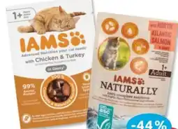 Budni Iams Katzennahrung Angebot