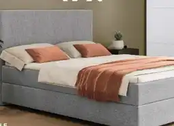porta Quartier Möbel BOXSPRINGBETT MISTER Angebot