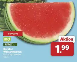Combi Naturwert bio bio mini wassermelonen Angebot