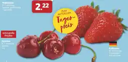 Combi Nektarinen Angebot