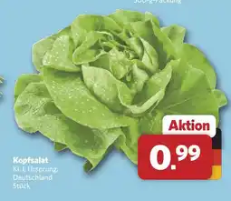 Combi Kopfsalat Angebot