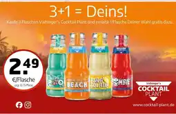 Getränke Quelle Vaihinger's cocktail plant cocktails Angebot