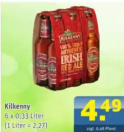 Getränke Arena Kilkenny irish red ale Angebot