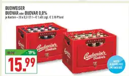 Marktkauf Budweiser budvar Angebot