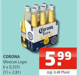 Getränke Oase Corona mexican lager Angebot