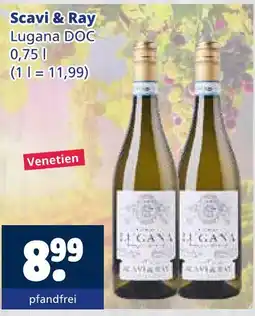 Getränkewelt Scavi & ray lugana doc Angebot