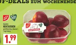 Marktkauf Gut & günstig nektarinen Angebot