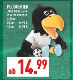 Marktkauf Dfb adler paule Angebot