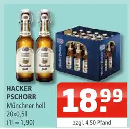 Getränke Oase Hacker pschorr münchner hell Angebot
