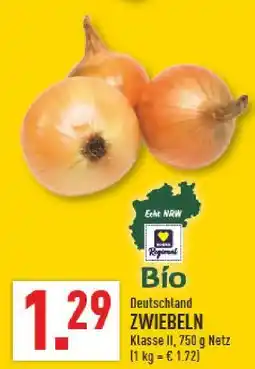 Marktkauf Zwiebeln Angebot