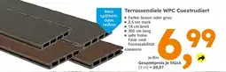 Globus Baumarkt Terrassendiele wpc coextrudiert Angebot