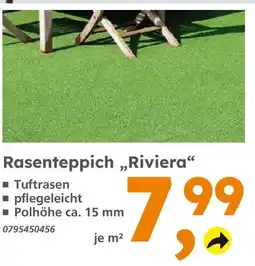 Globus Baumarkt Rasenteppich riviera Angebot
