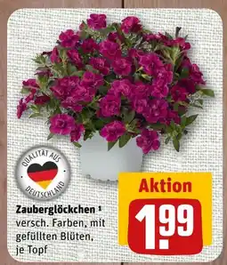 nahkauf Zauberglöckchen Angebot