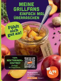 tegut Nektarinen Angebot