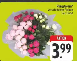 E-Center Pfingstrosen Angebot