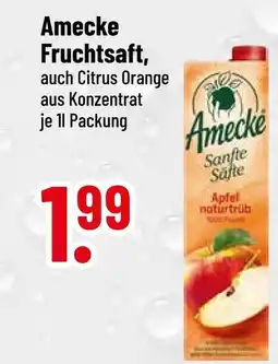 trinkgut Amecke fruchtsaft apfel naturtrüb Angebot
