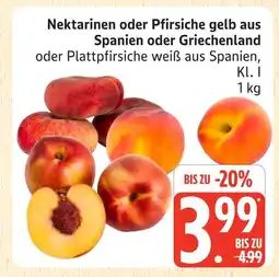 Marktkauf Nektarinen oder pfirsiche gelb aus spanien oder griechenland Angebot
