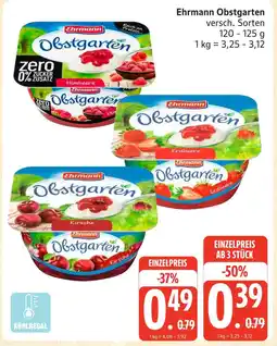 Marktkauf Ehrmann obstgarten himbeere Angebot