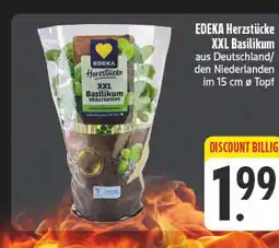 E-Center Edeka herzstücke xxl basilikum Angebot