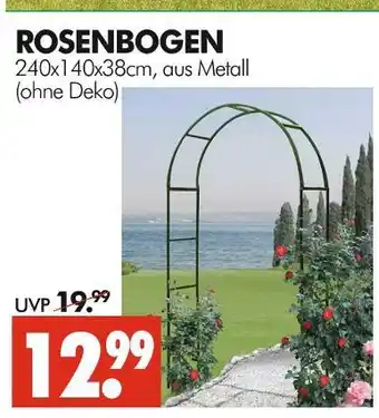 Wreesmann Rosenbogen Angebot
