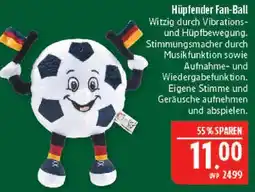Marktkauf Hüpfender fan-ball Angebot