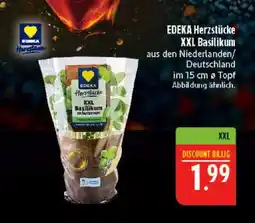 Marktkauf Edeka herzstücke xxl basilikum Angebot