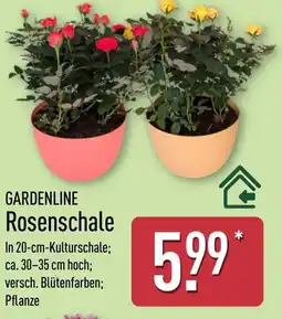 Aldi Nord GARDENLINE Rosenschale Angebot