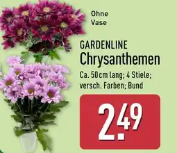 Aldi Nord GARDENLINE Chrysanthemen Angebot