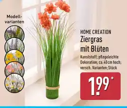 Aldi Nord HOME CREATION Ziergras mit Blüten Angebot