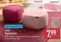 Aldi Nord CRANE Yogakissen Angebot
